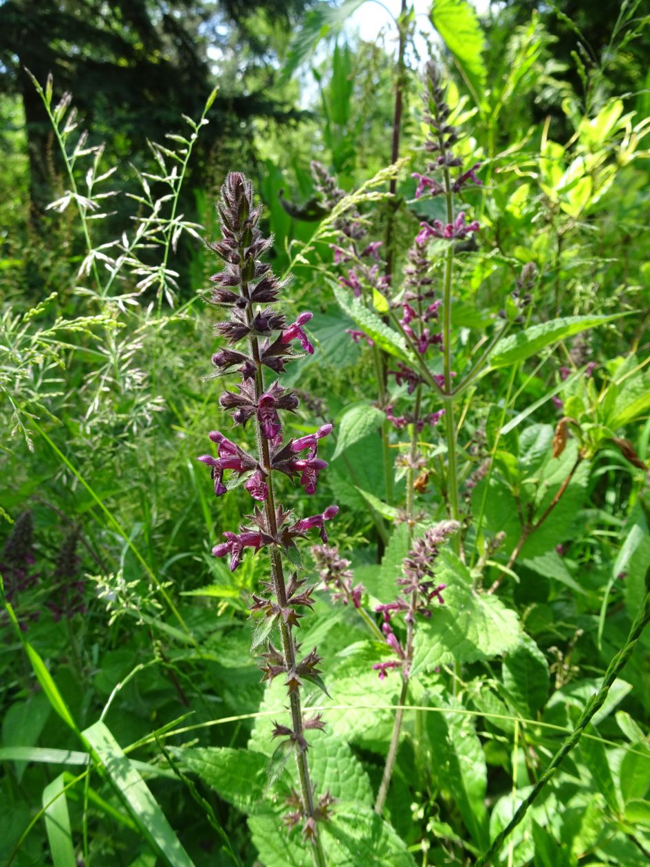 en deze, please ... ?